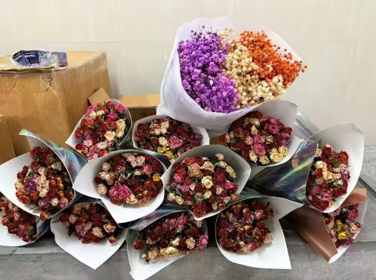 84b922d26b214395b5f396d60294de84.jpg 84b922d26b214395b5f396d60294de84.jpg